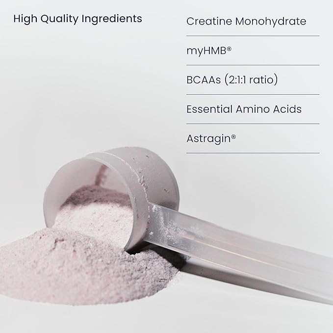 Muscle Health Plus – All-in-One Creatine Monohydrate & Amino Acids Powder with myHMB & AstraGin – BCAA 2:1:1 and Essential Amino Acids Supplement for Strength, Recovery & Lean Muscle, Cherry