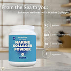 Zen Principle Marine Collagen Peptides Powder 1.5 lb. Wild-Caught Fish, Non-GMO. Supports Healthy Skin, Hair, Joints and Bones.Hydrolyzed Types I, II, III, and IV Protein. Amino Acids. Easy to Mix.