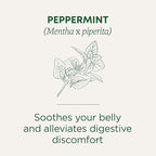 Traditional Medicinals Tea, Organic Peppermint, Soothes Your Belly, Refreshing & Minty, 48 Tea Bags