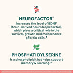 NEURIVA Original Brain Supplement for Memory, Focus & Concentration + Learning & Accuracy with Clinically Tested Nootropics Phosphatidylserine and Neurofactor, Strawberry Flavor, 50 Gummies