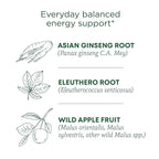 Traditional Medicinals Organic,Stress Ease Focus,Ginseng Wild Apple Mint Tea - Balanced Energy Support & Adaptogens - Kosher,Non-GMO,Caffeine-Free,Compostable - 16 Tea Bags,(Pack of 2)