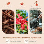 WT WEETEE Apple Cinnamon Herbal Tea Bags, 60 Count, Perfect Blend of Sweet Cinnamon, Tart Hibiscus, Natural Apple & Cinnamon Flavoring, Caffeine-free