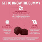 Probiotic Cranberry Gummies for Women - Urinary Tract Health and pH Balance - 1 Billion CFU of Lactobacillus for Bladder Support and Vaginal Wellness - Cran-Raspberry Flavor, 60 count, 1-Month Supply