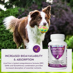 Comprehensive Liver Support Supplement for Smaller Dogs. Flavorful Chewable Tablets Combining Same, SPC, Silybin A+B, + Glutathione 30Ct (Small - Medium)