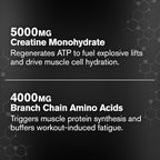Jacked Factory Creatine + BCAAs - Creatine Monohydrate + BCAA Powder for Increased Post-Workout Recovery, Performance, Lean Muscle Growth, & Reduced Fatigue - 30 Servings, Blue Raspberry