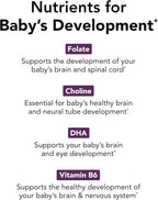 Theralogix TheraNatal Complete Prenatal Vitamin Supplement - 91-Day Supply - with DHA, Vitamin D3, Folate, Iodine, Choline, Iron, Vitamin B6 & More - NSF Certified - 182 Tablets & 91 Softgels