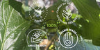 Candida Overgrowth | 100% Organic & Handmade Low Alcohol Herbal Drops | Calendula, Pau D’Arco, White Oak & More | 9 Herb Formula for Yeast & Microbial Detox | Advanced Liquid Extract & Concentrate
