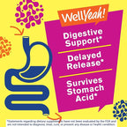 WellYeah Probiotics for Women Gummies - 10 Billion CFU - for Digestive Support, Gut Health, and Feminine Health Support - Natural Sourced Flavors - Vegan, Delayed Release Womens Probiotic - 60 Gummies