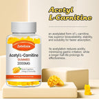 2 Pack Acetyl L-Carnitine Gummies, L-Carnitine Supplement for Women & Men, Nutrition Supplement for Boost Energy, Immunity & Brain Health, Vegan, Non-GMO, Mango Flavor, 120 Count