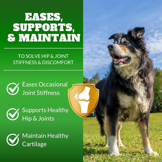Dog Joint Supplement Chews with Glucosamine & MSM & Omega 3–Joint Support for Senior & Large Breed Dogs, Alternative for Longevity & Healthy Aging, Mobility Treatment & Flexibility with CoQ10-120 Ct
