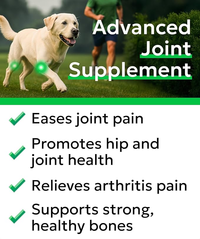 BARK&SPARK Senior Advanced Glucosamine Chondroitin for Dogs - Hip Joint Pain Relief - Old Dog Joint Chews Large & Small Breed - Hip Joint Chews Joint Health Care Treats - 240Ct