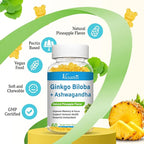 240MG Ginkgo Biloba Gummies | 120 Gummies | Improve Mood and Focus, Brain Health| Pineapple Flavor | Vegan, Non-GMO, Gluten Free Supplement