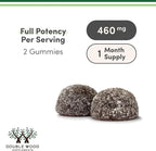 Magnesium Glycinate Gummies (400mg per Serving, 30 Day Supply, Grape Flavored) High Absorption Magnesium Supplement for Adults or Kids by Double Wood Supplements