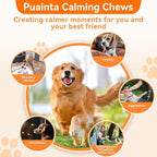 Dog Calming Chews – Magnesium Glycinate & Melatonin for Dogs, 4 Herbal Ingredients for Anxiety Relief, Stress & Travel Support, Chicken Flavor (90 Count)