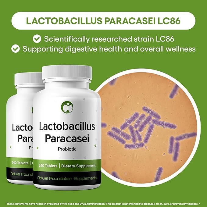 Lactobacillus Paracasei Probiotic Supplement 240 Tablets 3 Billion CFU Probiotics for Men & Women Supports Intestinal Digestive & Gut Health (240, Lactobacillus Paracasei)