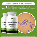 Lactobacillus Paracasei Probiotic Supplement 240 Tablets 3 Billion CFU Probiotics for Men & Women Supports Intestinal Digestive & Gut Health (240, Lactobacillus Paracasei)