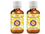 Deve Herbes Pure Cucumber Oil (Cucumis sativus) Cold Pressed (Pack of Two) 100ml X 2 (6.76 oz)