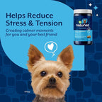 NaturVet Quiet Moments Calming Dog Supplement, Dog Soft Chews with Melatonin to Help Reduce Stress from Storms, the Vet, Fireworks, and Travel, Bacon and Chicken Flavored Pet Supplement, 240 Count Jar