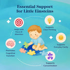 Kids Focus Gummies - Nootropics Brain Support Supplement for Kids with Green Tea Extract, B6 & B12 Vitamins for Memory and Brain Focus - Herbal Concentration Chews for Children - 90 Count