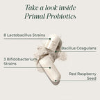 Primal Harvest Probiotics for Women & Men Daily Probiotic Supplement with 12 Strains for Gut & Digestive Health 30 Capsules