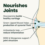 VetriScience Ultimate Strength Healthy Hip & Joint Chews, GlycoFlex Glucosamine, Chondroitin & GreenLipped Mussel Support Supplement for Dogs, Soothe Joint Discomfort, Duck,120 Ct (Pack of 2)