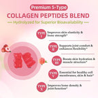 Collagen Gummies for Women & Men - Hydrolyzed Collagen Peptides Type I II III V X | 60 Cts with Biotin, Hyaluronic Acid & Vitamins C D B12 A E | Boost Skin Hair Nails, Bone, Digestive & Immune Health
