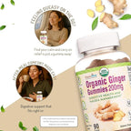 Pharmvista USDA Organic Ginger Gummies 200mg 90 Count for Nausea Management and Digestive Health