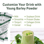 山本漢方製薬株式会社 YAMAKAN Natural Kale Powder for Smoothies& Drinks, Kale Green Juice, Powder Kale Drink with Fiber for Daily Energy, Digestive Gut Health& Immune System, Vegan from Japan, 44 Count