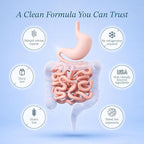 Vitamin Bounty Pro-50 Probiotic 50 Billion CFU - 13 Strain Supplement for Men & Women + Prebiotics - Digestive Health & Gut Support - Lactobacillus & Bifidobacterium - Delayed Release Capsules, 2 Pack