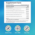 Liposomal Nicotinamide Riboside NR Supplement Resveratrol NAD : Nicotinamide 500mg w/Fisetin, Resveratrol Powder Spermidine Berberine NAD Resveratrol Supplement 500 mg - 60 caps 2 Pack