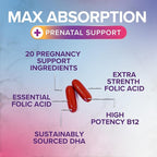 Prenatal Vitamins for Women with Folic Acid + Omega 3 DHA for Fetal Brain Development, Best Prenatal Vitamin Supplement, Daily Pregnancy Multivitamin Nutritional Support, Non-GMO - 60 Softgels
