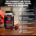 Coach Soak Shilajit Gummies 6-in-1: Tasty Raspberry Watermelon Flavor with Ashwagandha, Lion’s Mane, Irish Sea Moss, Beet Root & Black Seed Oil - Lab Tested Pure Shilajit for Men and Women | 120 ct