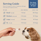 Fera Pets Postbiotics Plus Prebiotics for Dogs & Cats - with Slippery Elm - Promotes Optimal Digestive Health & Inflammatory Response - Enhances Immunity - 120 Scoops