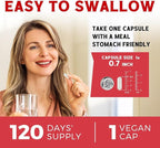 Iron Supplement for Women & Men, with Vitamins C, B6, B12 & Folate for Iron Deficiency, Blood Building & Energy Support, Stomach Friendly, Better Absorption, Non-GMO,No Gluten,120 Vegan Caps