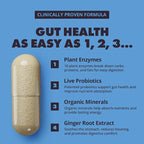 Gains in Bulk Total Digest, Digestive Enzymes, Prebiotics and Probiotics for Digestive Health, Bloating Support, Gut Health for Women and Men, Promotes Protein, Carb and Fat Digestion, 270 Capsules