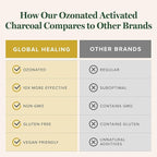 Global Healing Center - Ozonated Activated Charcoal Powder - Advanced Digestive Detox that Adsorbs Internal Unwanted Compounds - Helps Relieve Occasional Gas Discomfort - 60 Activated Charcoal Pills