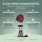 Wild Foods Kids Calm Gummies - Ashwagandha Gummies for Kids w/GABA, L-Theanine, Lemon Balm & Charmomile - Support Natural Relaxation, Stress Relief & Sleep, for Children 4+, Berry Flavor, 60 Count