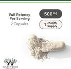 Double Wood Supplements NAD+ Anti Aging & Cell Regeneration | 500mg of 95% Pure NAD Plus Per Serving, 30 Day Supply | Similar to Nicotinamide Riboside | Third Party Tested, Vegan Safe, Non-GMO