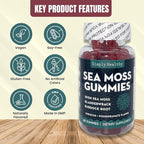 Premium Sea Moss Gummies, Irish Sea Moss Supplement with Bladderwrack and Burdock Root, Vegan Support Detox Gummies, Plant-Based Wellness, for Gut Health, Superfood 60ct