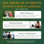 Liposomal NAD+ Supplement with Resveratrol, CoQ10 | Advanced Cellular Support, Nicotinamide Riboside NMN Replacement Premium Antioxidant & Energy