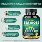 Bualle Irish Sea Moss Capsules – Organic Sea Moss, Black Seed Oil, Ashwagandha Supplements with Bladderwrack, Ginger & Burdock Root – Supports Daily Wellness, Skin & Energy – 150 Count (1 Pack)