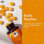 NEW NORDIC Turmeric Curcumin Gummies, Sugar Free, 300 mg Turmeric Supplement for Men and Women, Supports Normally Functioning Joints, Knees, Shoulders, Mango Orange, 60 Count
