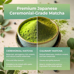 Maiji Japan Matcha Collagen Peptides Powder Supplement, Ceremonial Grade Matcha Green Tea Powder (15 Servings Bag)