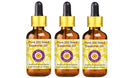 Deve Herbes Pure Dill Seed Essential Oil (Anethum graveolens) with Glass Dropper Steam Distilled (Pack of Three) 100ml X 3 (10 oz)