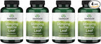 Swanson Stinging Nettle Leaf (Urtica Dioica) - Herbal Supplement Promoting Urinary Tract & Respiratory Health Support - May Support Healthy Fluid Balance - (120 Capsules) (4 Pack)