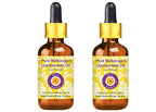 Deve Herbes Pure Jyotishmati Oil with Glass Dropper 100ml X 2 (6.76 oz)