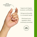 Swanson Double Strength Boswellia - Ayurvedic Herb for Joint Flexibility & Mobility Support - Boswellia Serrata Resin - (60 Capsules, 800mg Each)