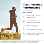 Designs for Health Phytotein Vegan Protein Powder - 20g Organic Rice, Sacha Inchi, Pumpkin Seed, Sunflower Seed & Pea Protein Powder Blend - Creamy Texture, Vanilla Plant Protein (465g)