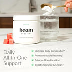 Beam Creatine Monohydrate Powder – 5g Micronized Creatine Monohydrate, Flavored Creatine for Women & Men, Muscle Strength, Growth & Cognitive Support, Watermelon Flavor, 30 Servings