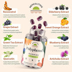 Polyphenol Gummies, Plant-Based Formula with Resveratrol, Elderberry, Grape, Turmeric,Green Tea, Cranberry Extract, Vitamins & Minerals, Superfood Blend, Mixed Berry Flavor, 120 Gummies